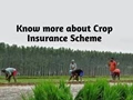 Climate based Crop Insurance Scheme Kharif- 2020; Last Date to Avail the Benefit is July 31st