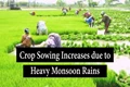Crop Sowing Increases by 21% Due to Heavy Monsoon Rains, Says Agriculture Ministry