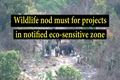 Wildlife nod must for projects in notified eco-sensitive zone