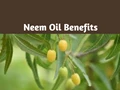 Eco-Friendly Pesticides; Know about the benefits of Neem Oil Manure