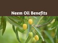 Eco-Friendly Pesticides; Know about the benefits of Neem Oil Manure