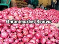 Domestic Onion Market Review – What Should Farmers do Now