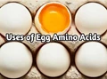 Egg Amino Acid: Excellent for Pest Control and Crop Growth