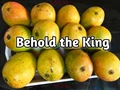 National Mango Day: Interesting facts about the King of Fruits