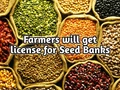 Atmanirbhar Bharat Abhiyan: Now Farmers Will Be Owners of Seed Banks; Government to Provide License & Training