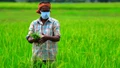 PM Kisan Latest Update for Farmers, Know When Government Will Transfer Rs. 2000 in Your Account