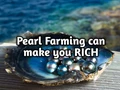 Pearl Farming: How to Start, Investment, Huge Profits & Where to Sell; A Complete Guide For You