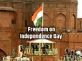 Giving Freedom on Independence Day – Let’s See How