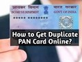 Want to Get A Duplicate PAN Card Online? Know What to Do If You Lost Your PAN Card