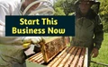 Profitable Honey Business Idea Will Make You Earn in Lakhs; Government Support & Subsidy Included