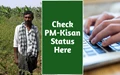 How to Check PM-Kisan Status and Payment Details Online; Direct Link Inside