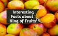 10 Unknown Facts about Mango