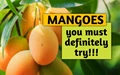 7 Types of Mangoes You Must Try This Summer
