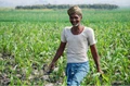 PM Kisan: Rs 2,616 crore Transferred to More Than 46 lakh Farmers