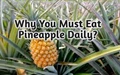7 Surprising Health Benefits of Pineapple