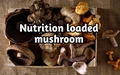 Nutritional value and Health benefits of Mushroom