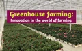 Greenhouse Farming Guide for Beginners
