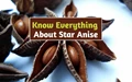 Beginners Guide to Grow ‘Sweet & Spicy’ Star Anise