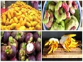 6 Rare Fruits in India You Must Know About!
