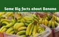 20 Interesting Facts about Banana that will shock you