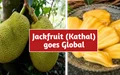 India's Super food ‘Jackfruit’ is becoming World's Most Preferred Meat-substitute