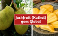 India's Super food ‘Jackfruit’ is becoming World's Most Preferred Meat-substitute
