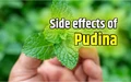 The Uses, Benefits and Side-effects of Pudina