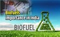 Increasing production efficiency in Biofuels - Essential for securing India’s energy balance