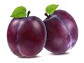 Plum Cultivation: Here's a Complete Guide for Beginners