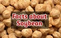 15 Important facts that you must know about Soybean