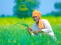 Krishi Yono App: Now Farmers Can Easily Buy Seeds Online through This App