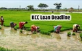 KCC Deadline Alert! Farmers can Deposit Kisan Credit Card Money on 31 August & Withdraw it after 24 Hours