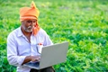 PM Kisan 11th Installment: Few Days Left! Check Beneficiary Status & Complete eKYC to Get Rs. 2000