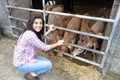 Dairy Farmer Entrepreneur Training Program
