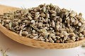 7 Marvelous Health Benefits of Ajwain