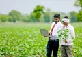 Revolutionizing India’s Agriculture Sector: How Agri-tech start-ups are empowering Farmers by digitally disrupting the Industry