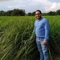 This Man Quits his Job for Lemongrass Farming and is Now Earning in Lakhs