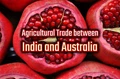 With Growing Demand, India is ready to export Pomegranate to Australia