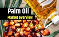 Growing Importance of Palm Oil in Global Markets