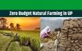 Know How UP Farmers will become Self-Dependent through Natural Farming