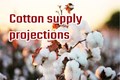 Global Cotton Supply Outlook slightly lower than Previous Year; Indian Cotton Crop Size Estimated Higher