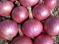 Government Bans Onion Exports with Immediate Effect