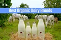 Top 5 Organic Dairy Brands in India