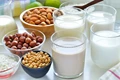 Vegan Milk is now in Indian Market as Top Brands Start Producing it
