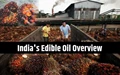 India’s Edible Oil Inventory Running 16% lower than Last Year