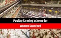 Poultry Farming: Government is Offering 100% Subsidy to Women Farmers; Read Details
