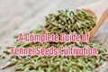Fennel Seeds Cultivation; Know about Climate Requirement, Popular Varieties, Fertilizer Requirements, Harvesting & Economics