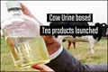 Know How to Earn in Lakhs through Cow Urine