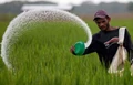Good News: Farmers May Soon Get Cash Fertiliser Subsidy of Rs 5,000 annually; Read Details