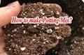 Make Your Own Potting Mix at Home and Save Money